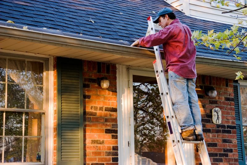 Local Gutter Covers Service pros at work